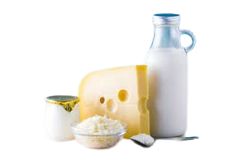 Dairy